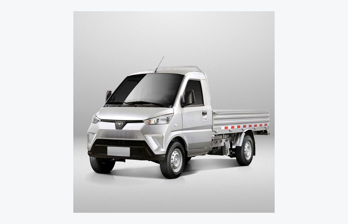 EV Light Truck