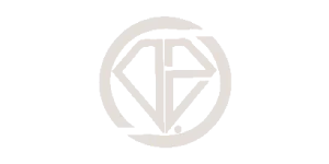ALMAS VISTA JAVID logo